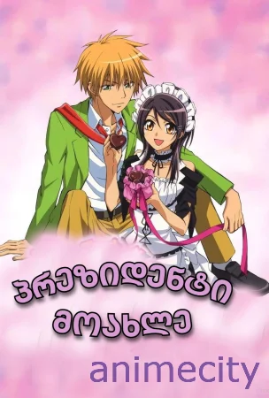 პრეზიდენტი მოახლედ!